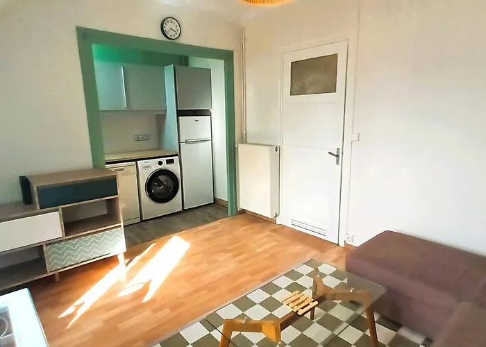 Le Basilic - T2 - Centre-ville - Cosy - Wifi - Tv * 图尔