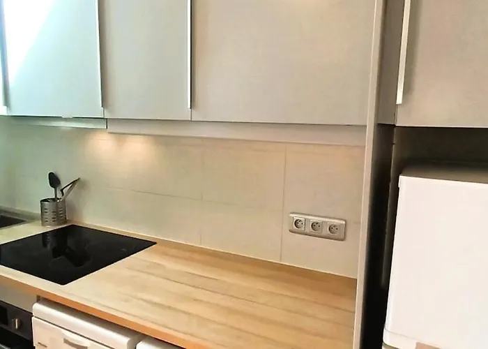 Le Basilic - T2 - Centre-ville - Cosy - Wifi - Tv * 图尔