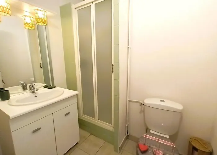 Le Basilic - T2 - Centre-ville - Cosy - Wifi - Tv *